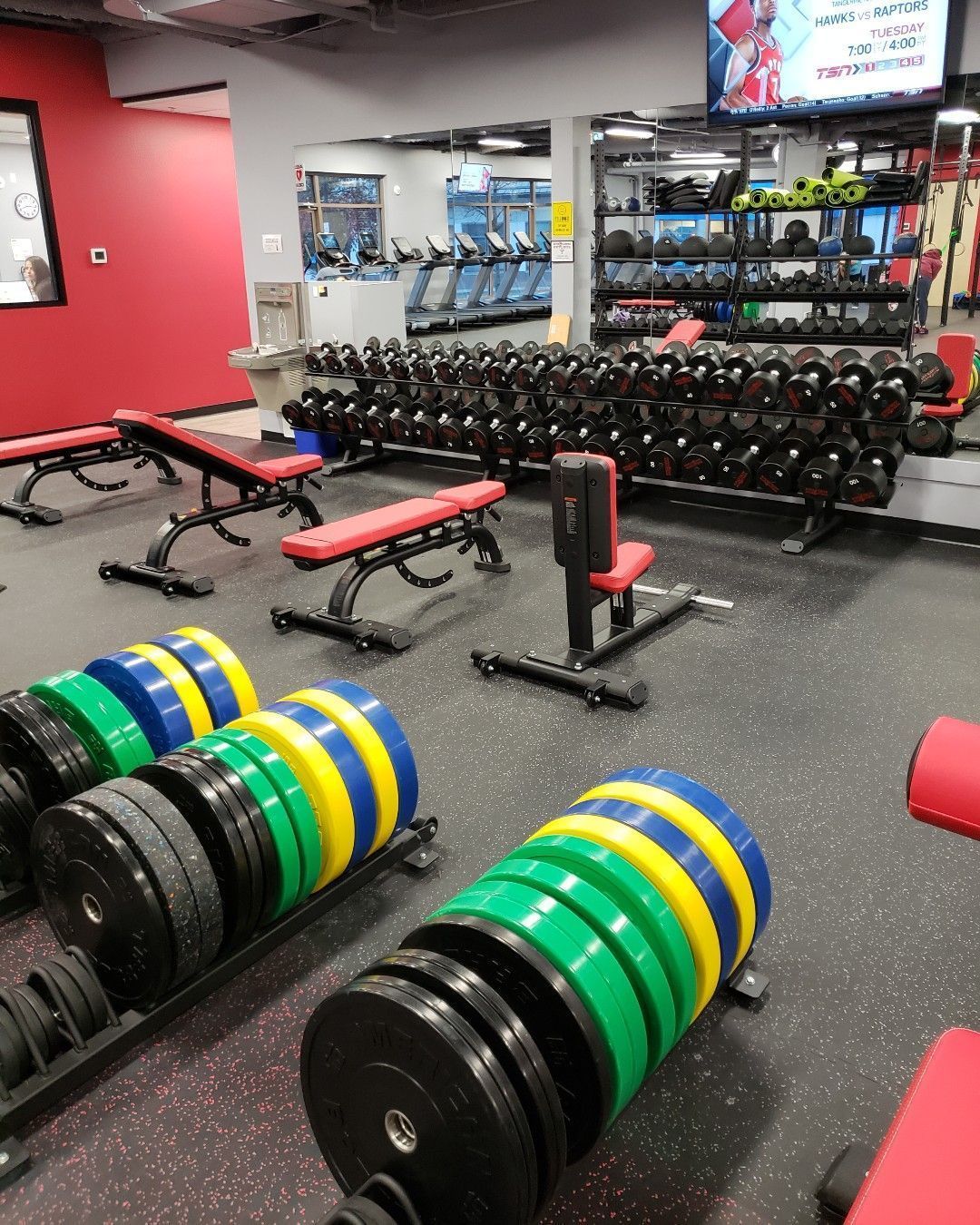 A gym with a lot of dumbbells and plates