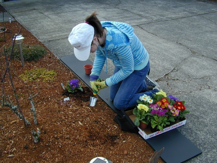 A woman is kneeling down to plant flowers in a garden