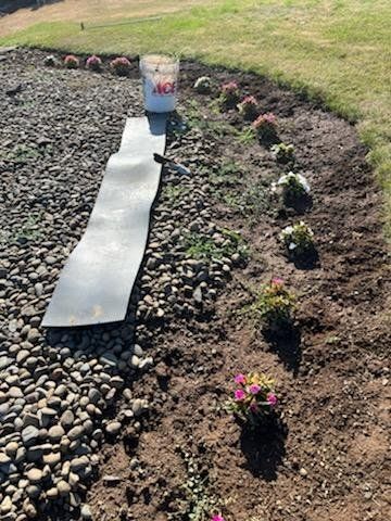 A garden with flowers and rocks and a bucket of water.