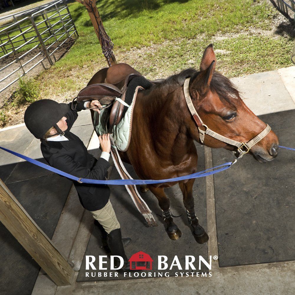 A red barn rubber flooring system is being used on a horse