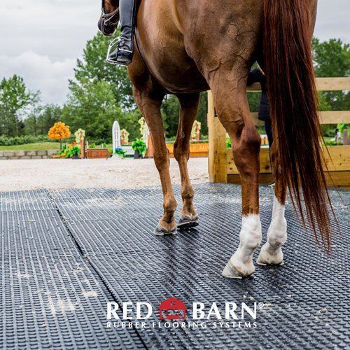 A horse is standing on a rubber flooring system by red barn