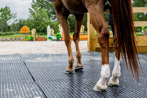A brown horse is standing on a black mat.