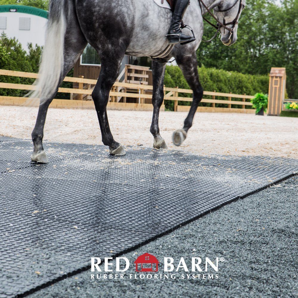 A horse is walking on a red barn rubber flooring system