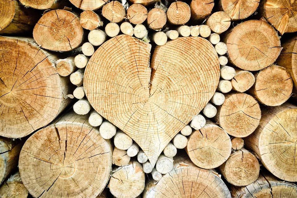 Holzhaufen – Material für das regionale Handwerk