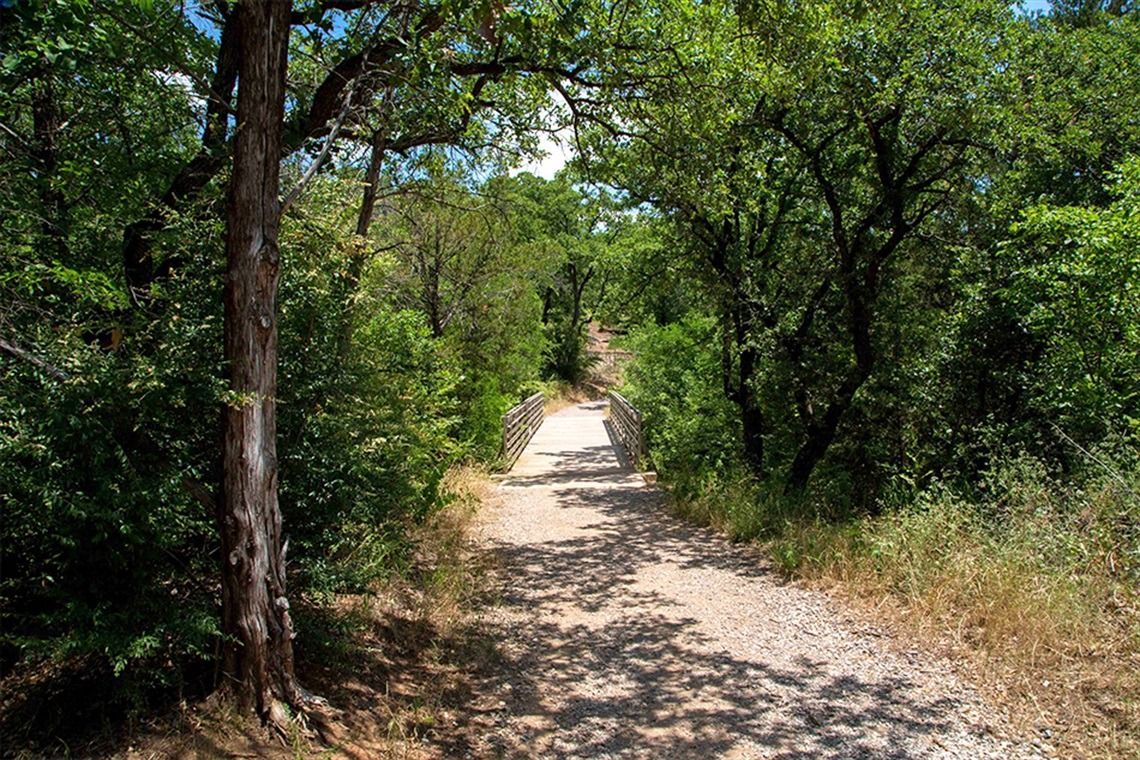 Gravel path through a forest, shaded by trees with green leaves. Sunny day.