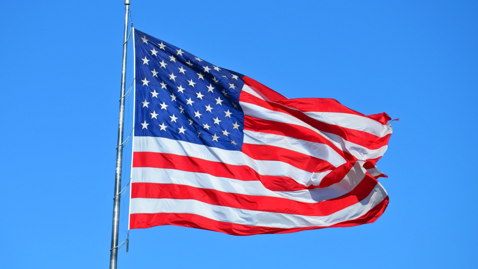 U.S. Import and Export Services