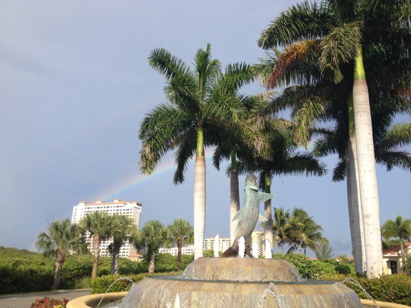 A fountain with palm trees and a rainbow in the background