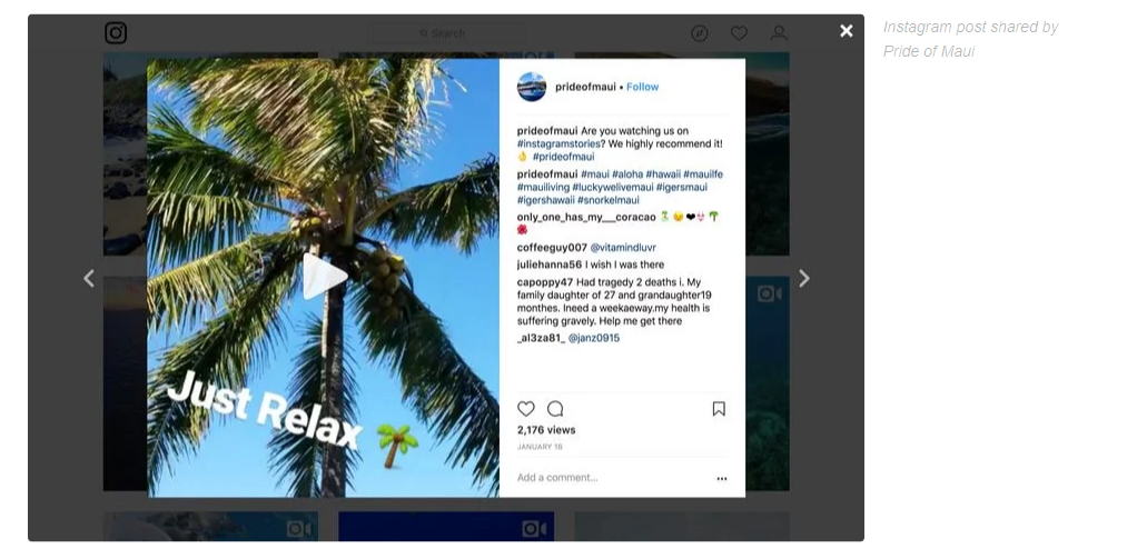 A picture of a palm tree on a computer marketing agency charleston sc.
