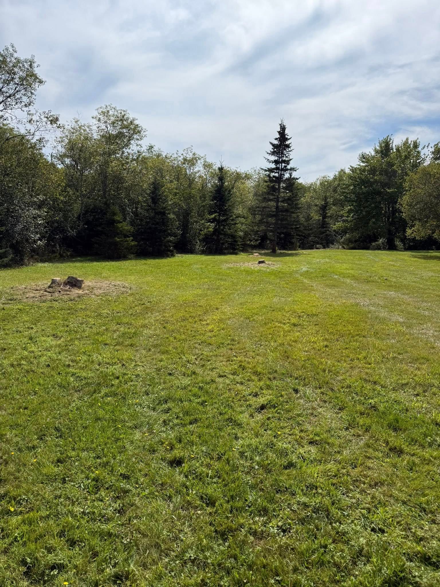Green grassy field with trees and a cloudy sky.