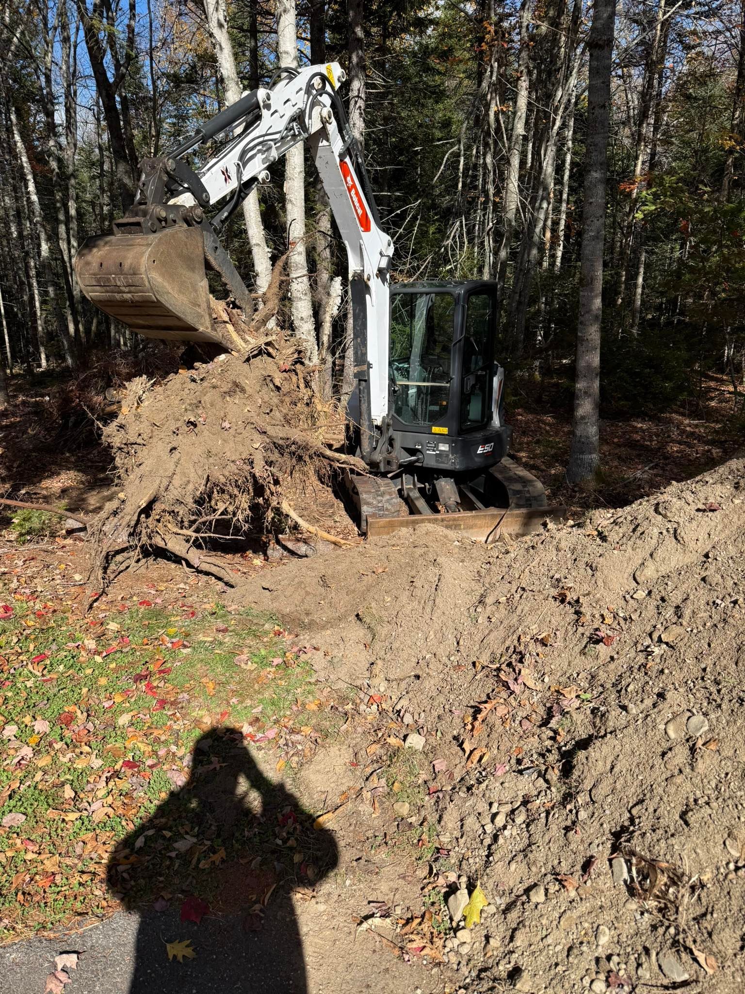 Bobcat excavator digging in a wooded area; soil and roots piled up. Shadow of a person in the foreground.