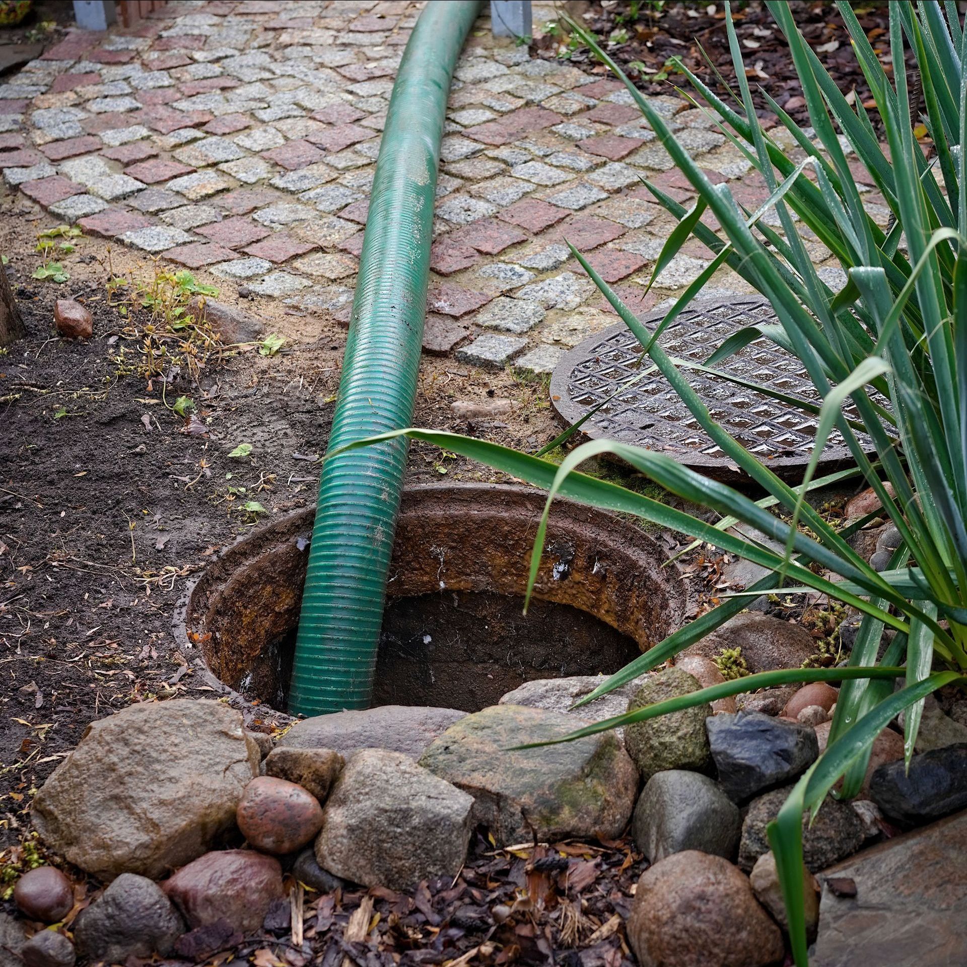 A green hose is connected to a manhole cover in a garden.