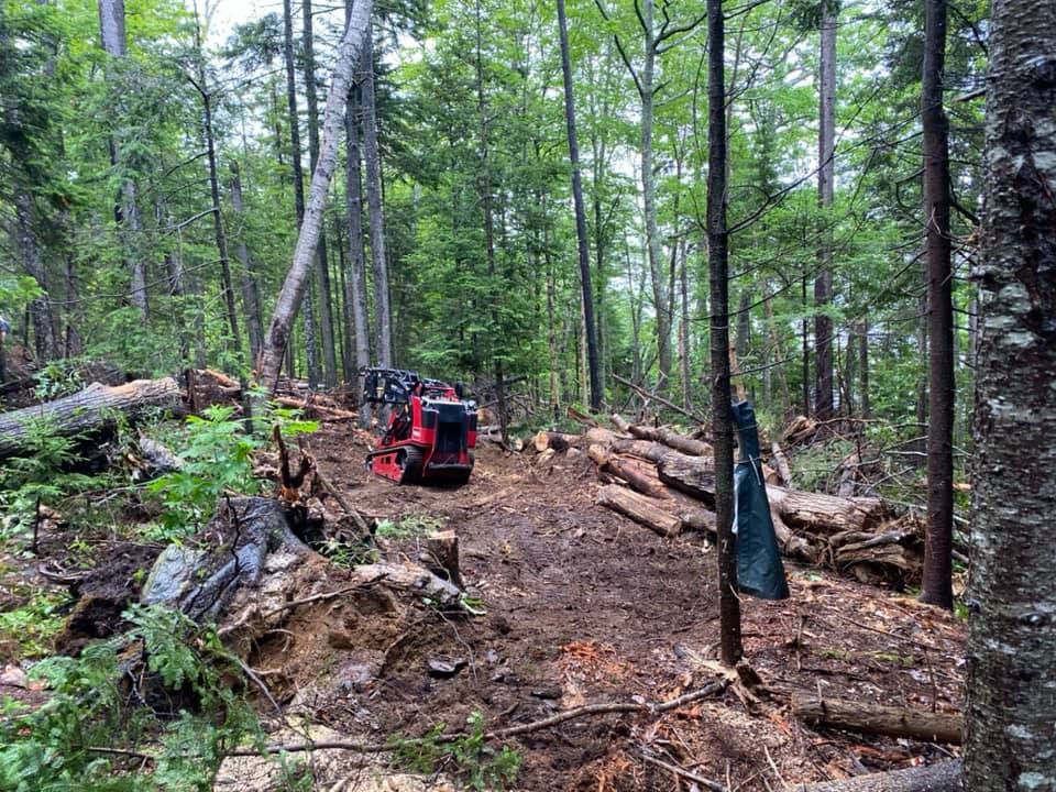 A small red skid steer on a muddy forest trail, surrounded by cut logs and trees.