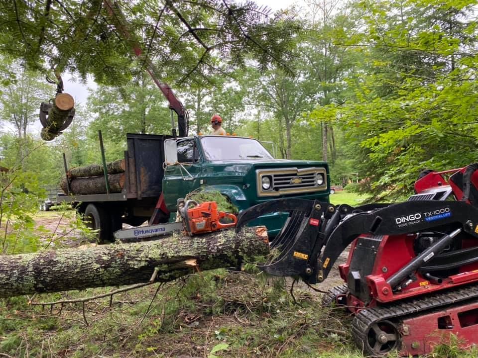 A green truck with a boom cutting a fallen tree. A red skid steer is assisting in a forest.