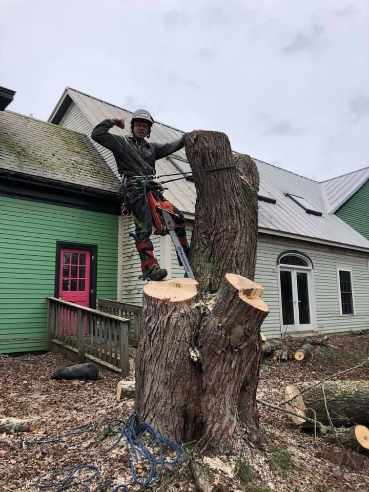 Arborist stands on a tree stump, flexing. He wears a helmet, and holds a chainsaw. Green and white buildings in background.