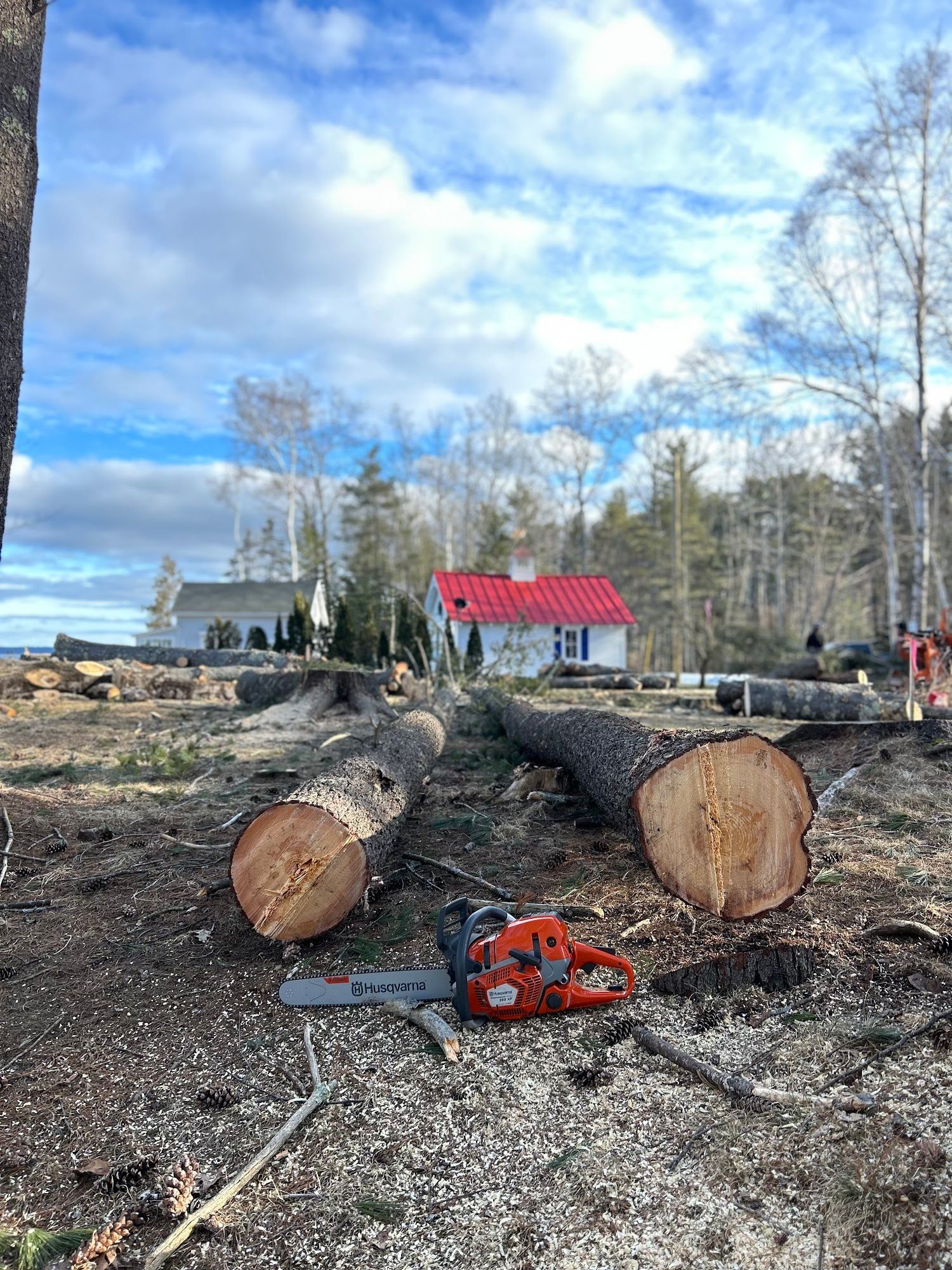 Fallen logs with a chainsaw, a house with a red roof in the background, and a cloudy blue sky.