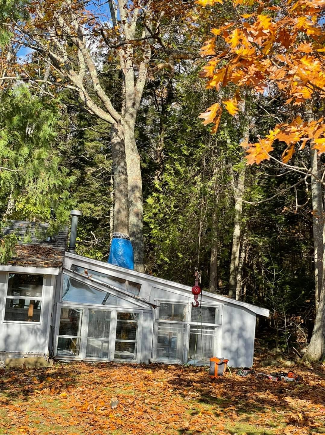 A small, white-painted building with many windows in a wooded area. Autumn leaves on the ground.