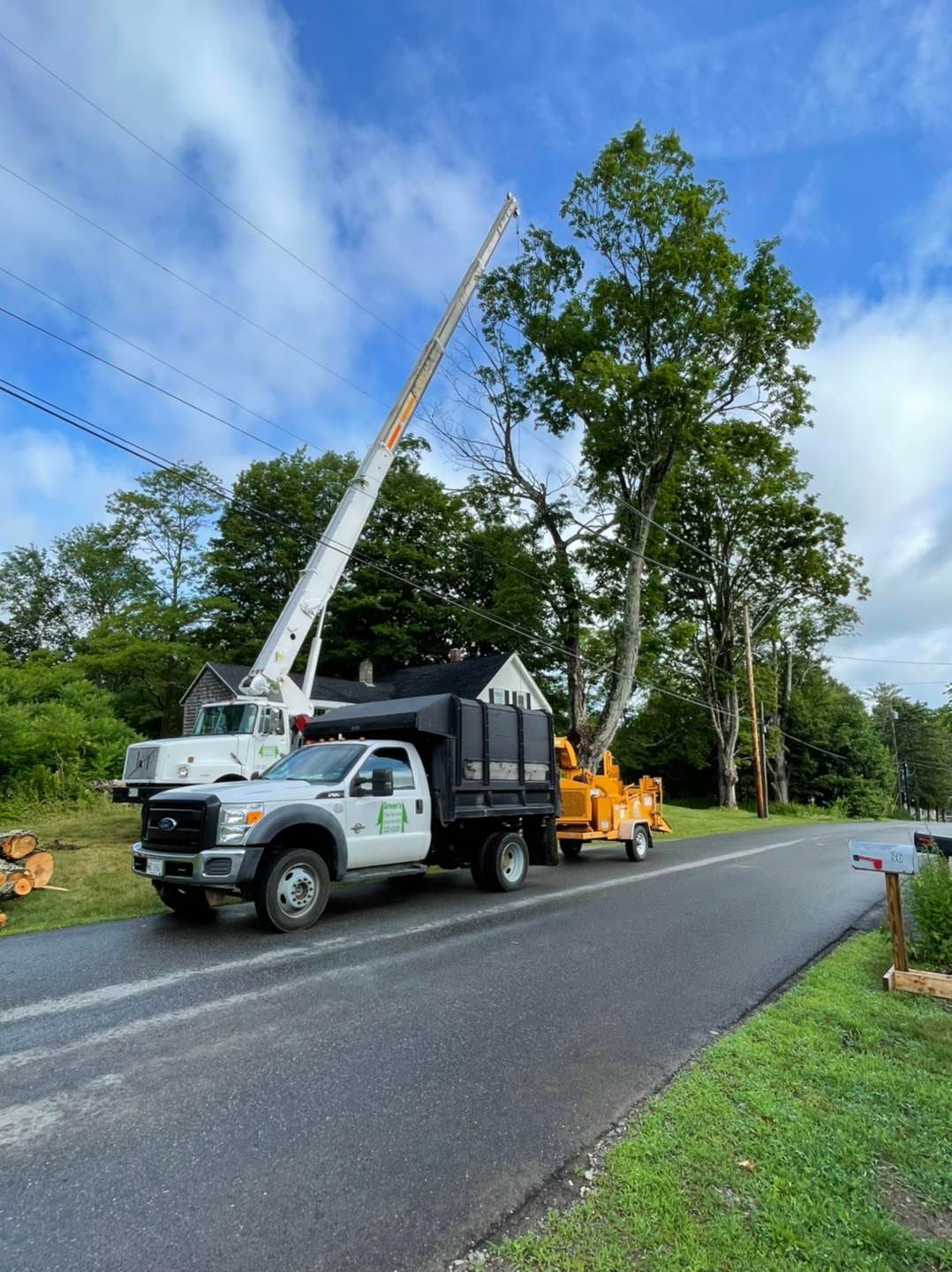 Tree removal service, truck with crane removing a tall tree next to power lines, roadside setting.