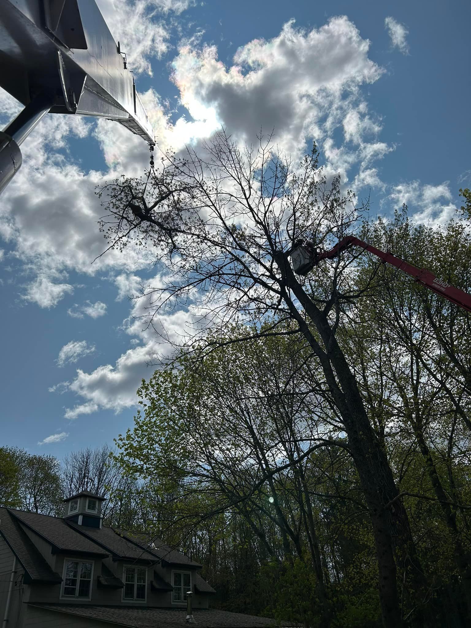 A tree being trimmed with a boom lift against a cloudy blue sky; a building and foliage are also visible.