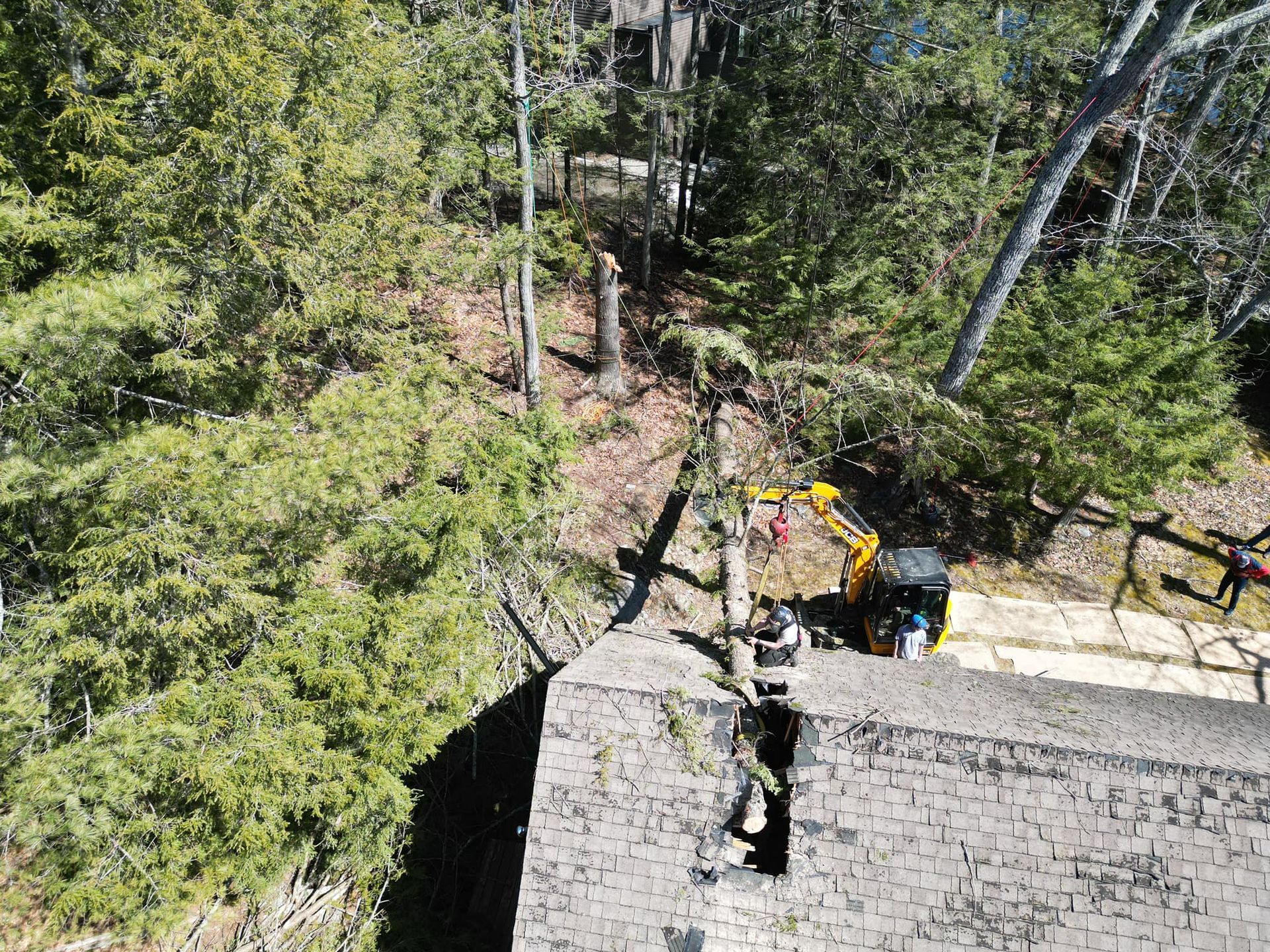 Yellow excavator cutting trees near a building on a hillside.