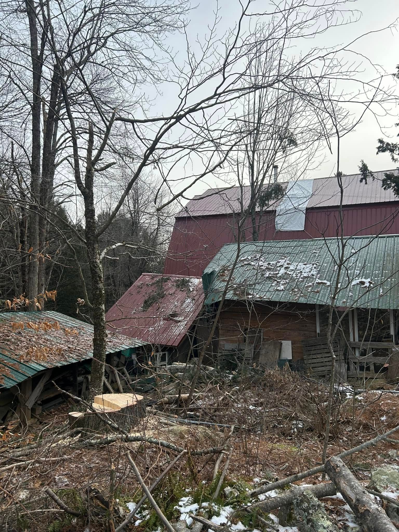 A rural scene with a partially cleared forest, a cut tree stump, and several buildings with red roofs.