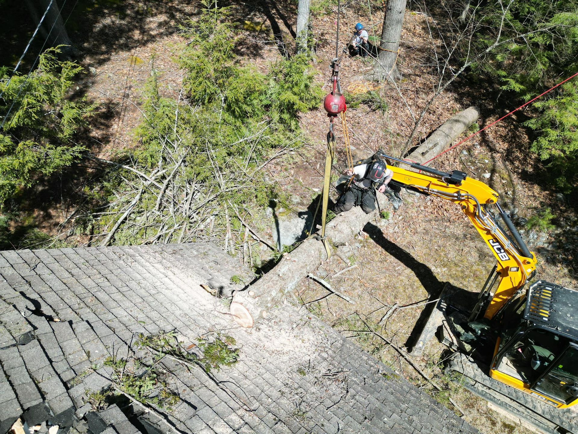 Excavator lifting a tree trunk off a roof, with a worker atop the trunk.