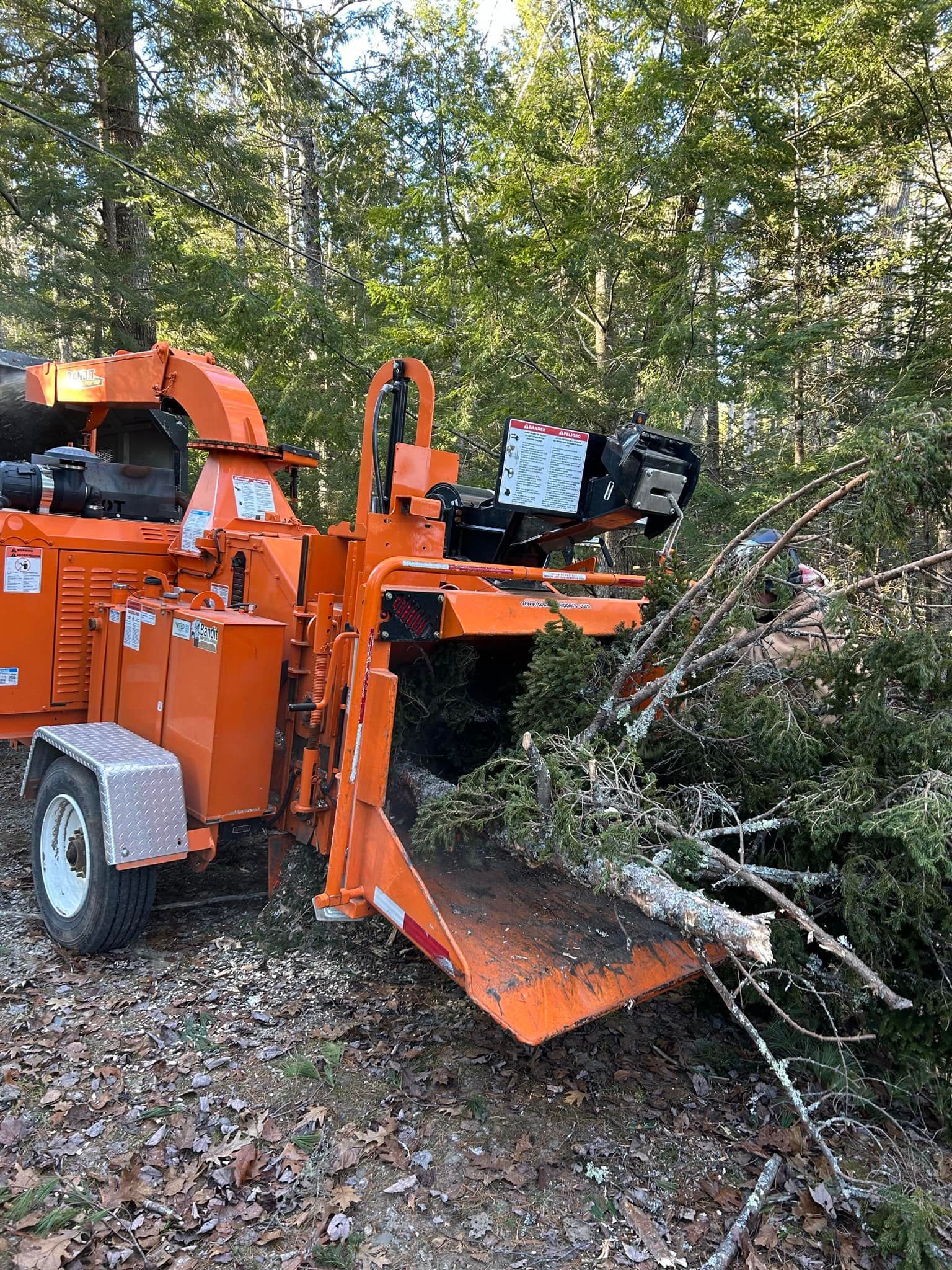 Orange wood chipper grinding branches in a wooded area.