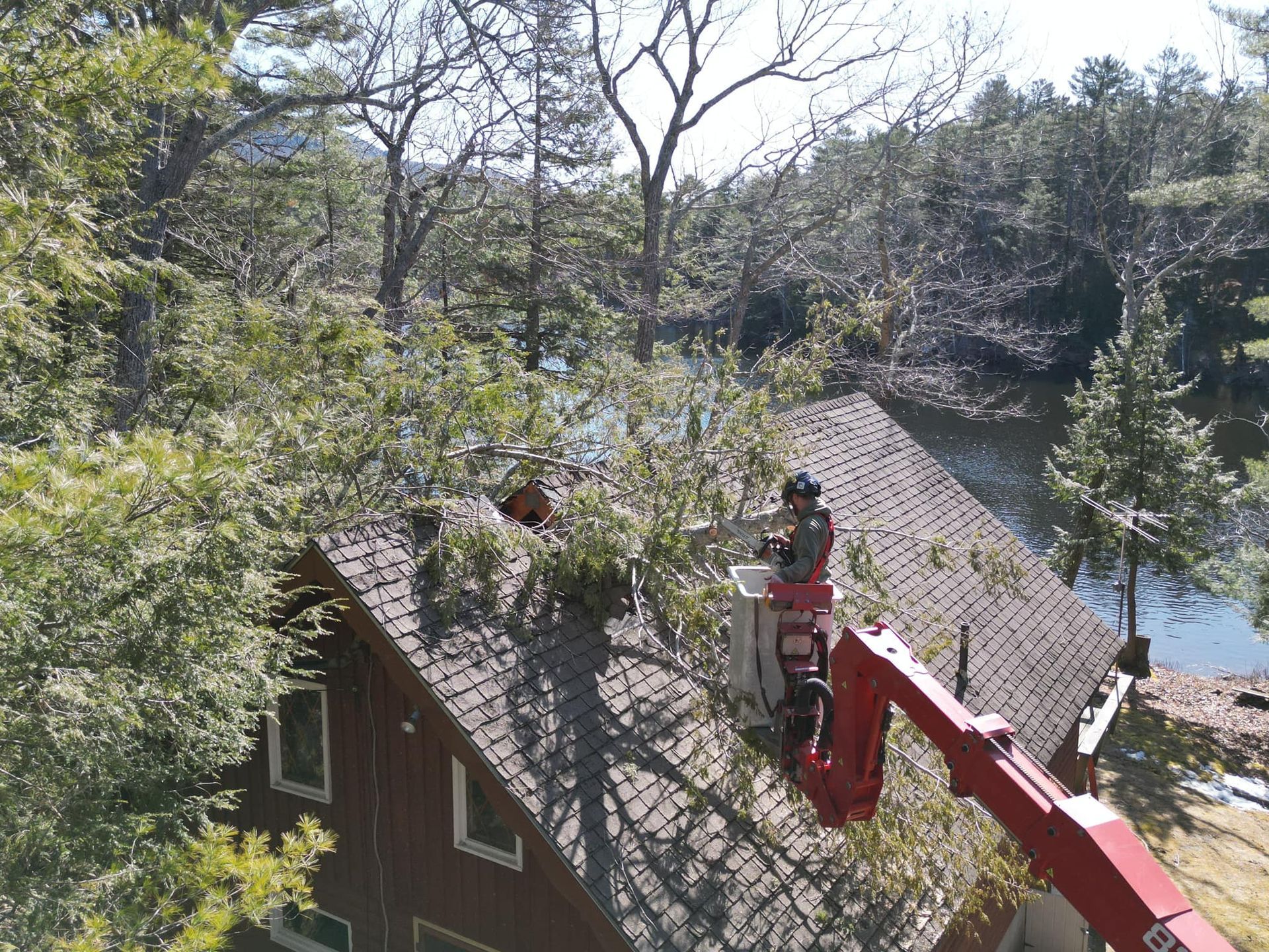 A worker in a lift trimming trees over a dark-roofed house near a lake on a sunny day.