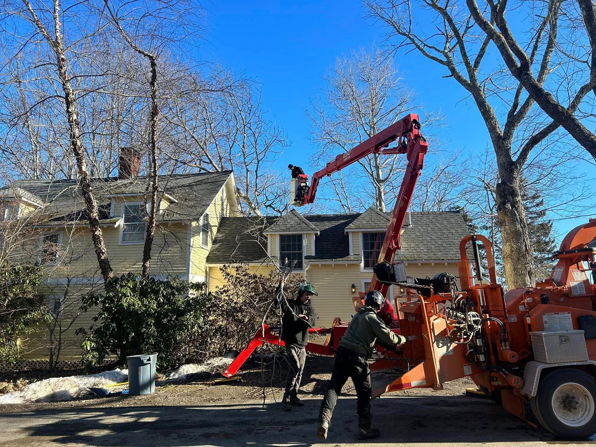 Tree trimmers using a lift and wood chipper near a house on a sunny day.