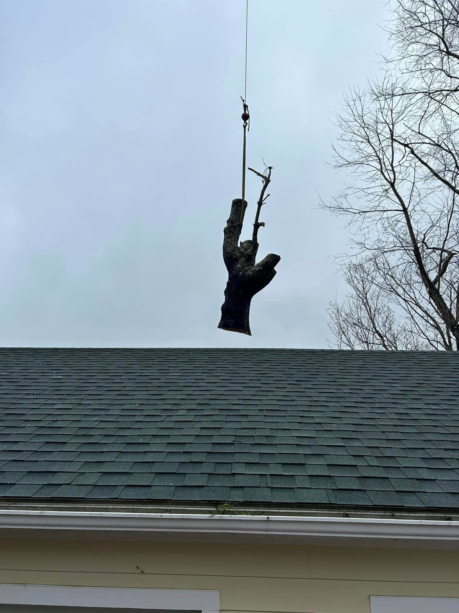 Gloved hand suspended from a cable above a roof with gray shingles, cloudy sky background.