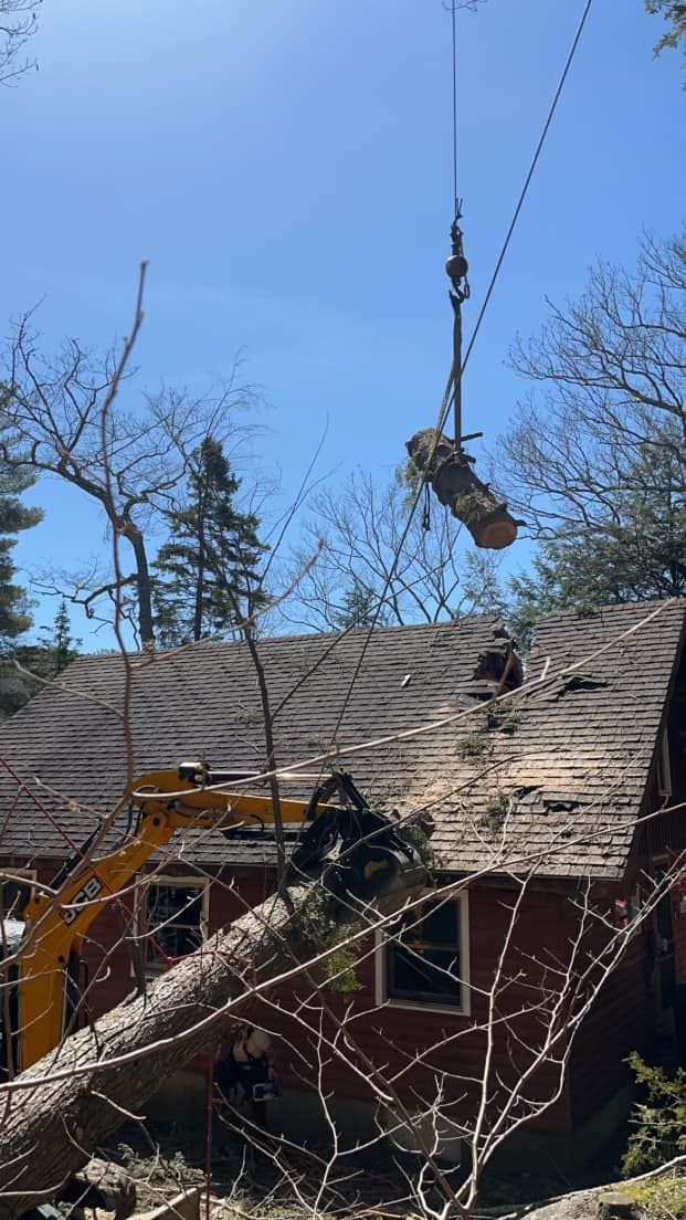 A crane lifting a tree trunk over a damaged red roof. An excavator is nearby.