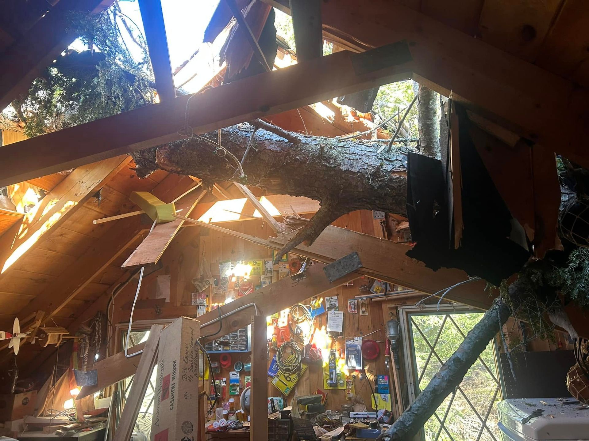 Interior view of a damaged cabin; a tree branch pierces the roof. Debris litters the room; sunlight streams in.
