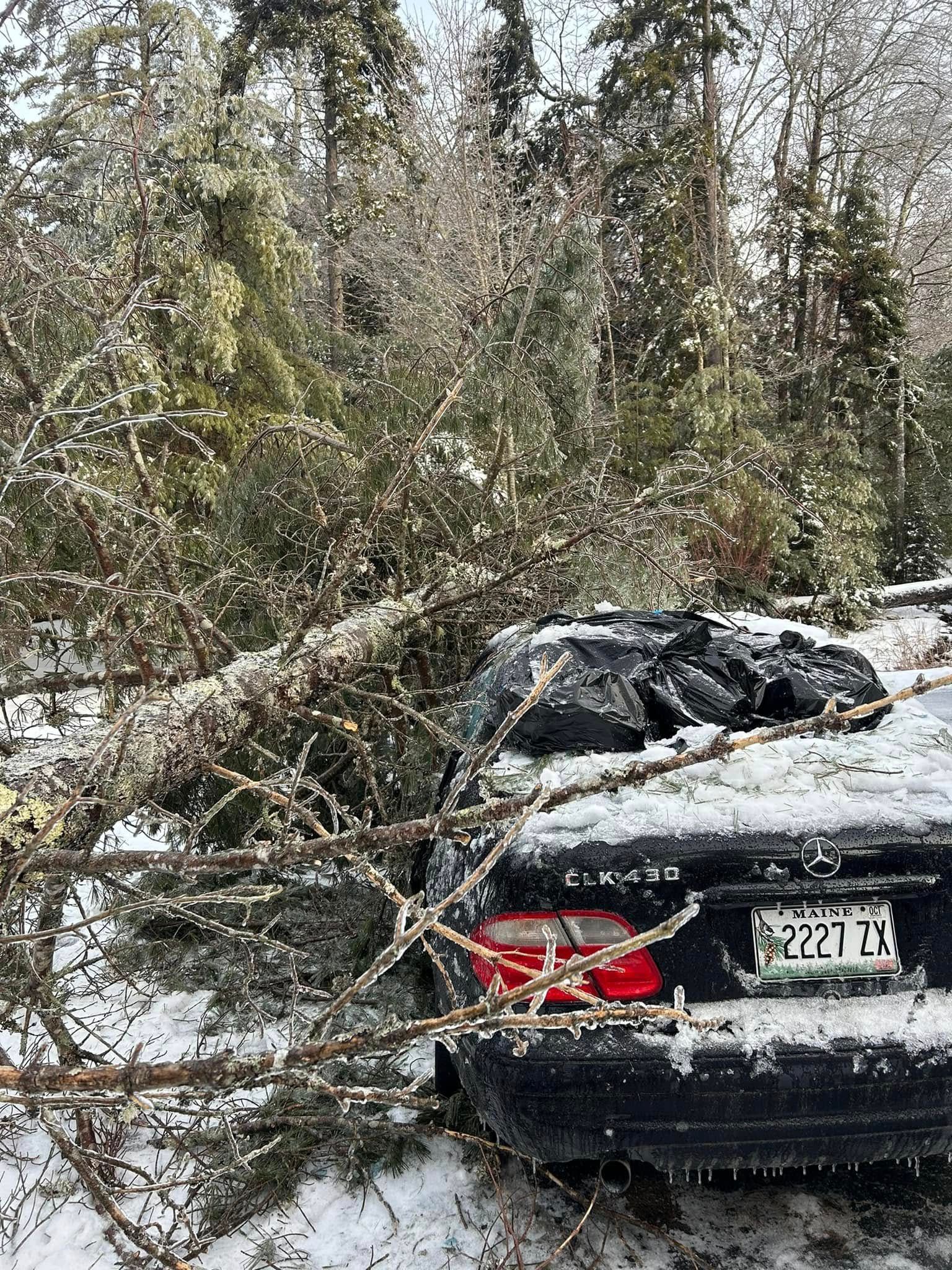 Black car crushed by ice-covered tree branches in a snowy forest; license plate visible.