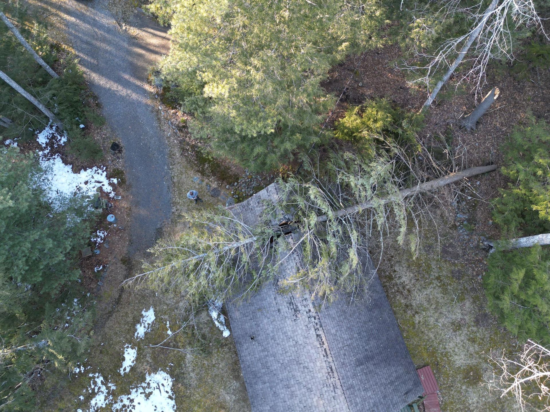 Overhead view of a house with a tree fallen across its roof, surrounded by trees, a path, and snow.