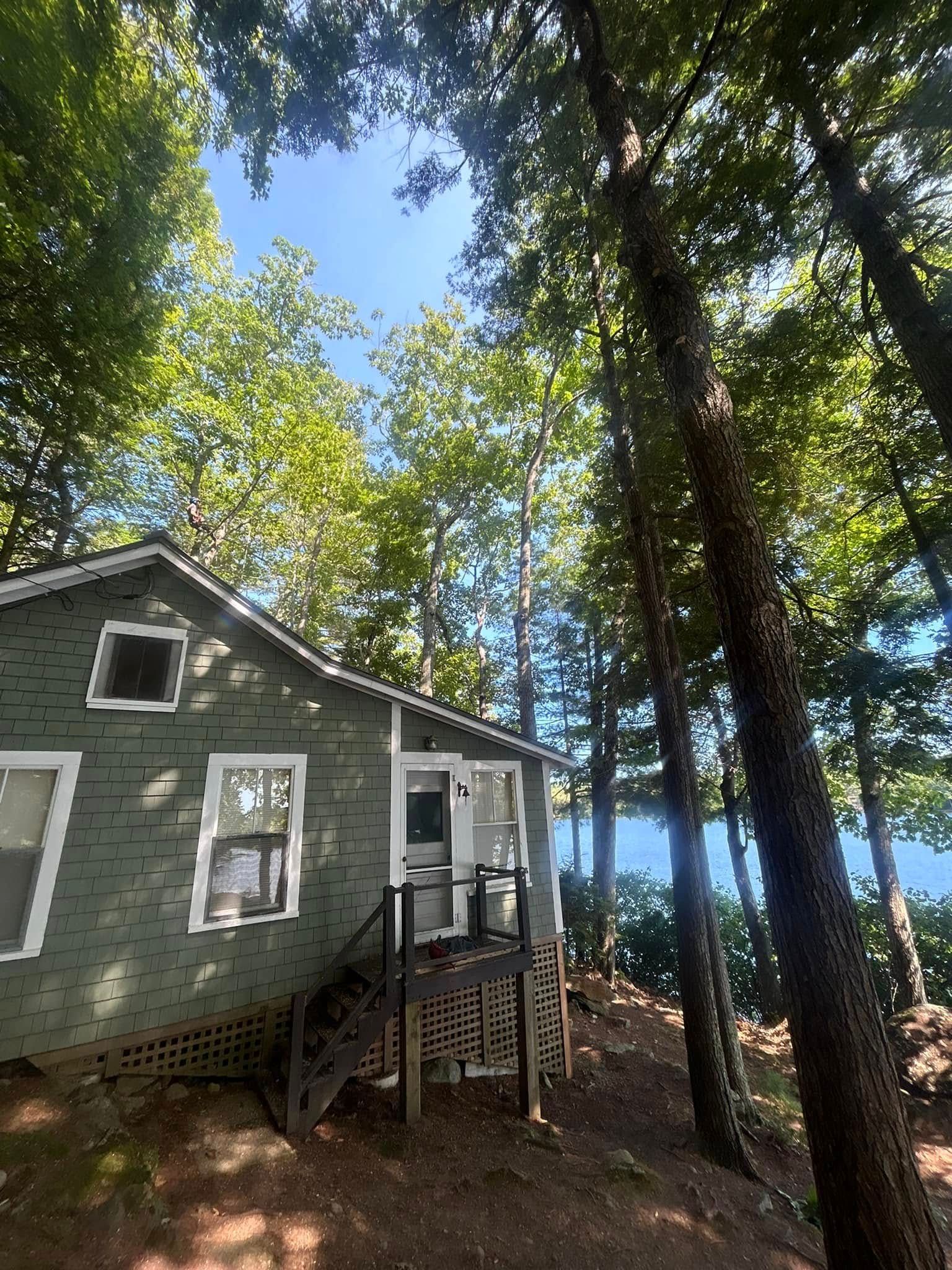 Green cabin nestled among trees, overlooking a body of water on a sunny day.