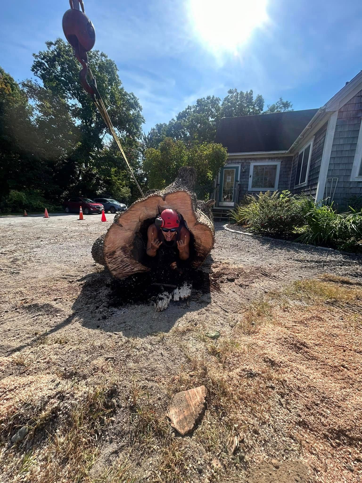 Arborist in a large log, being lifted by a crane, on a sunny day.