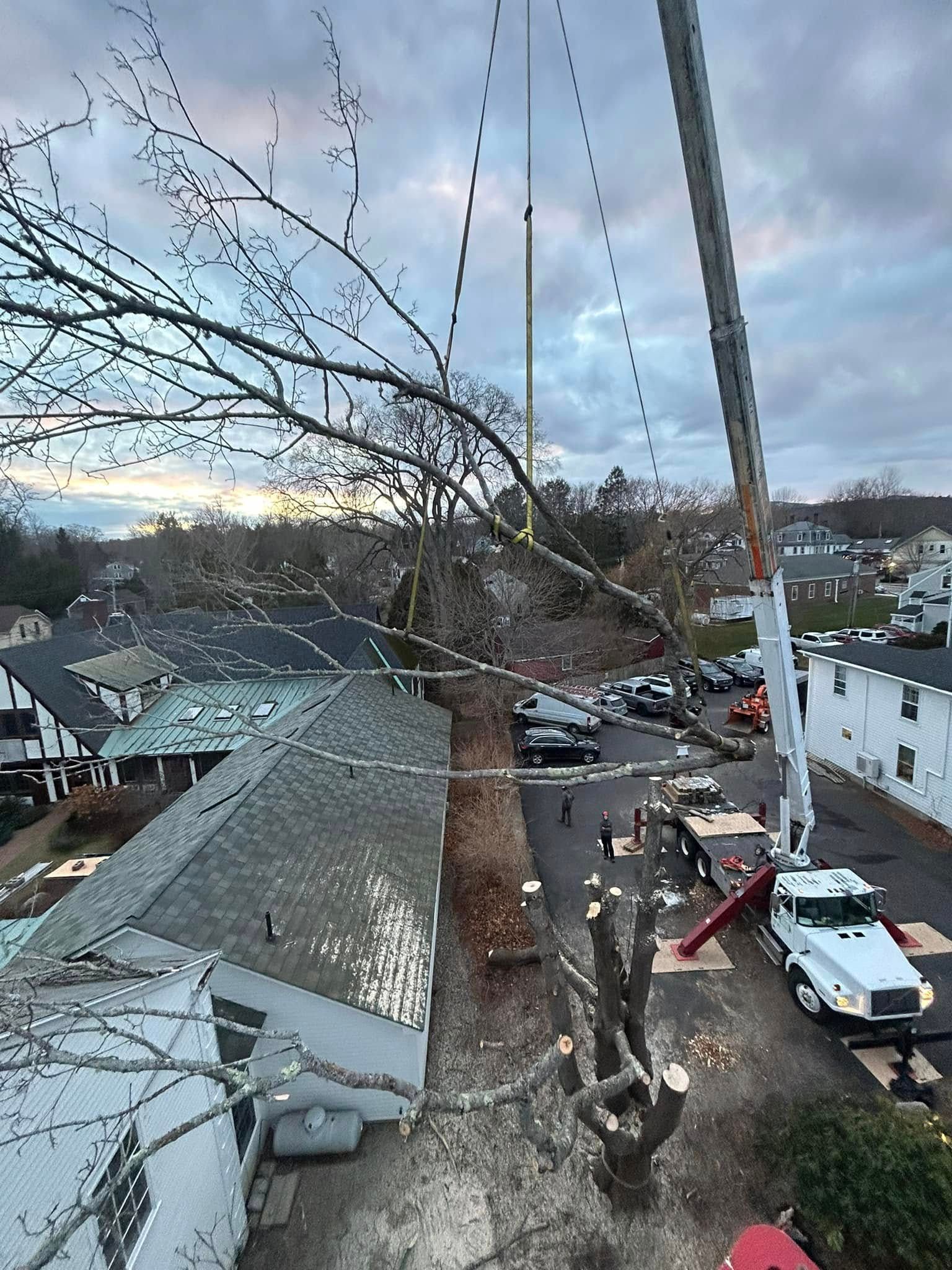 Crane removing tree branches near a house. Dark sky and neighborhood in the background.
