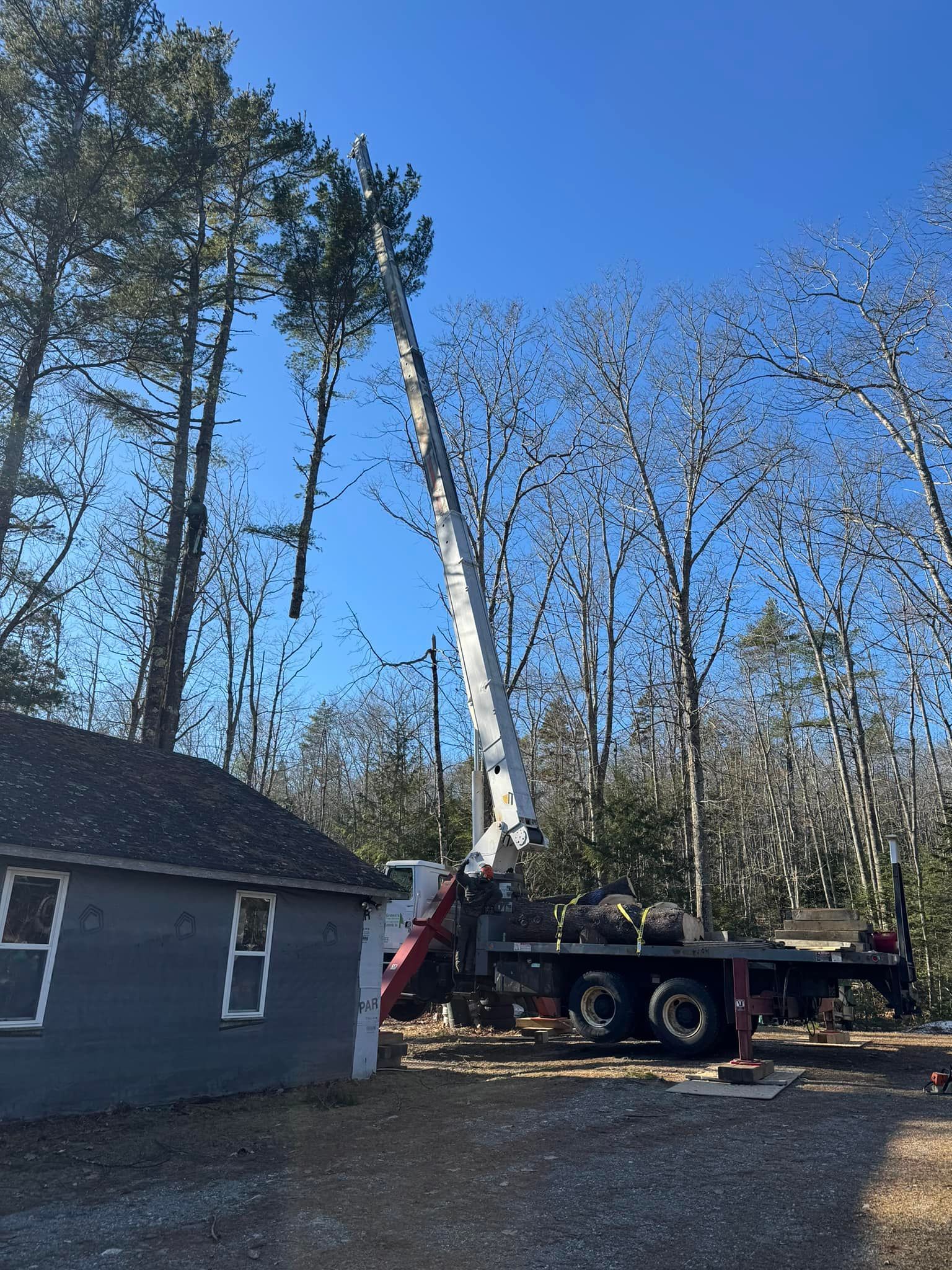 Tree trimming with a truck-mounted lift near a small gray building on a sunny day.
