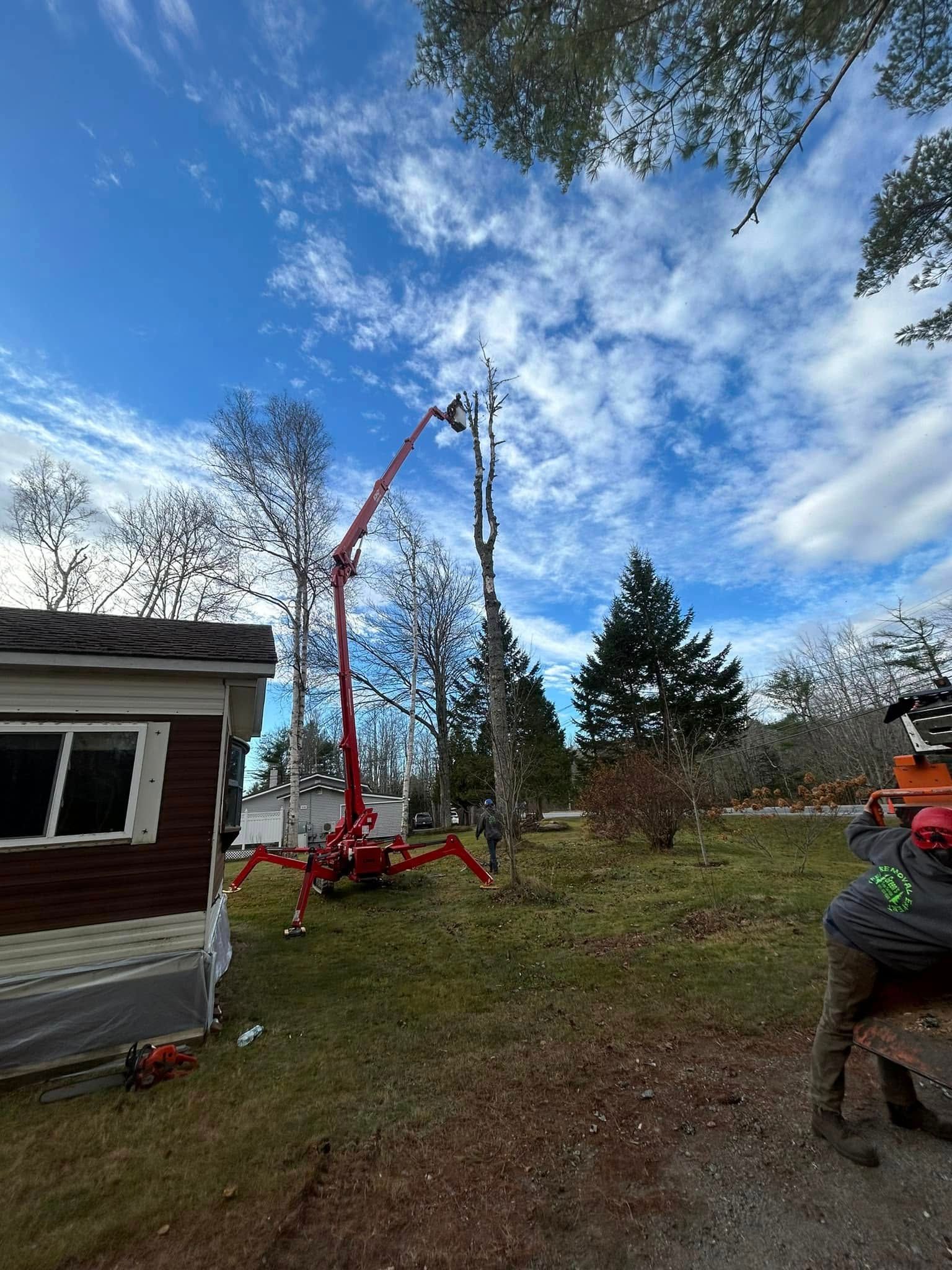 Red lift trimming a tree next to a house. A worker is on the ground. Blue sky.