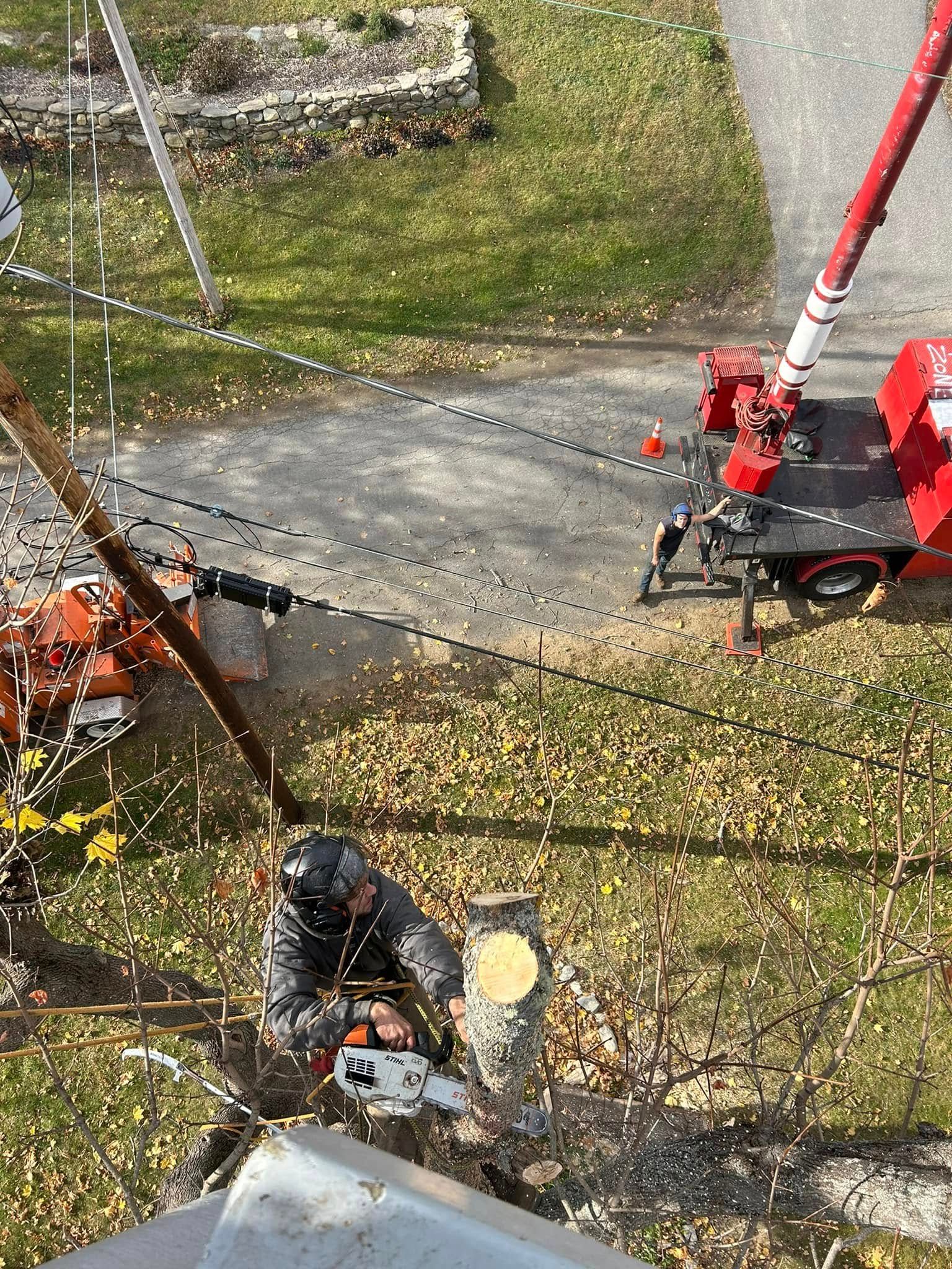 Man with chainsaw cutting tree limb from an aerial lift; near power lines, yard, and red truck.