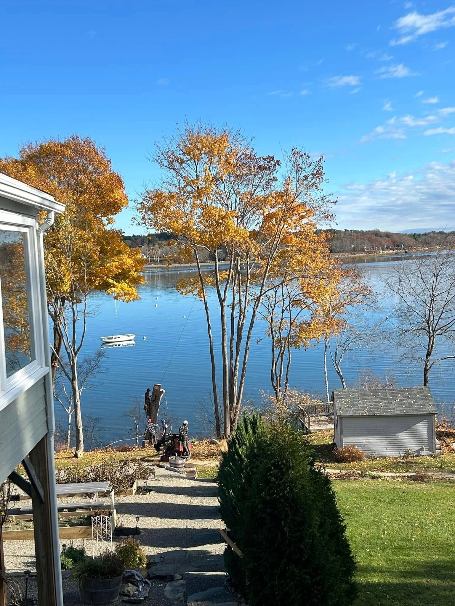 Trees with fall foliage frame a lake view on a sunny day. A small shed and dock are visible.