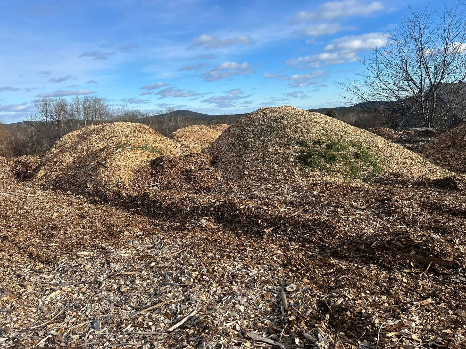 Piles of wood chips in a field under a partly cloudy blue sky.
