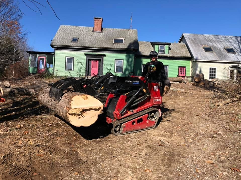 Person operating a red skid steer moving a large tree trunk near a green house with pink doors.