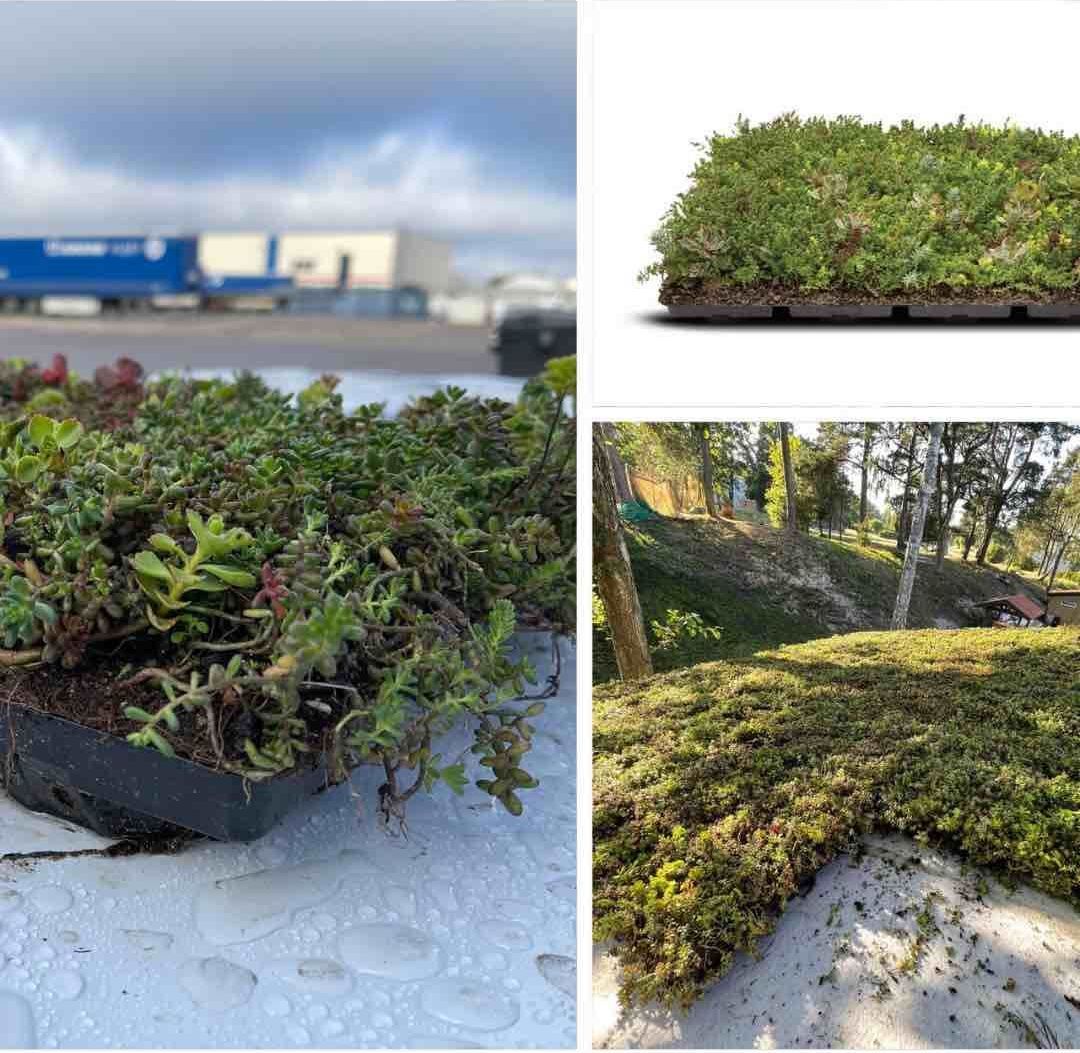 SOPRANATURE ekstensīvo zaļo jumtu sistēmas