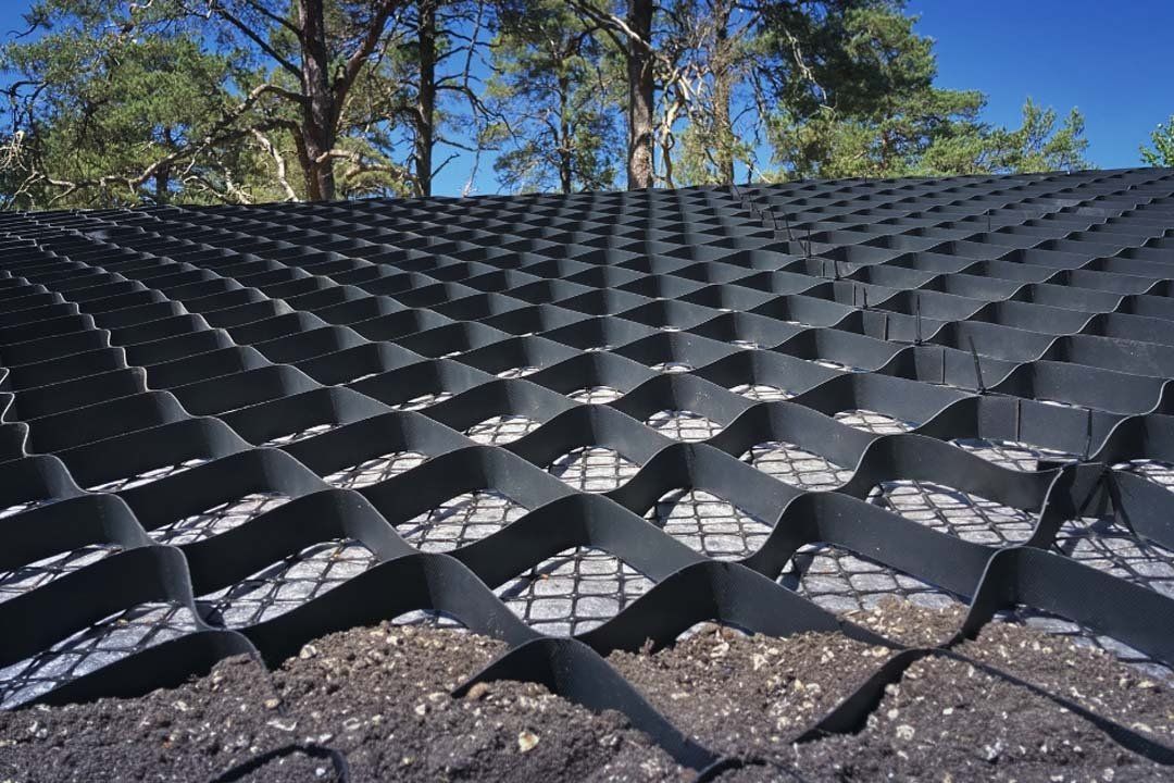 Ekstensīvie zaļie jumti: Tundra sloped