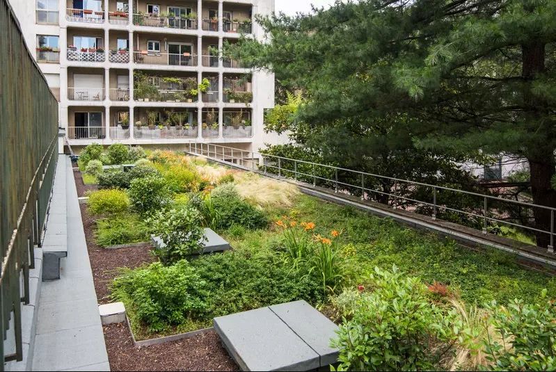 zaļais jumts izolacijas.lv