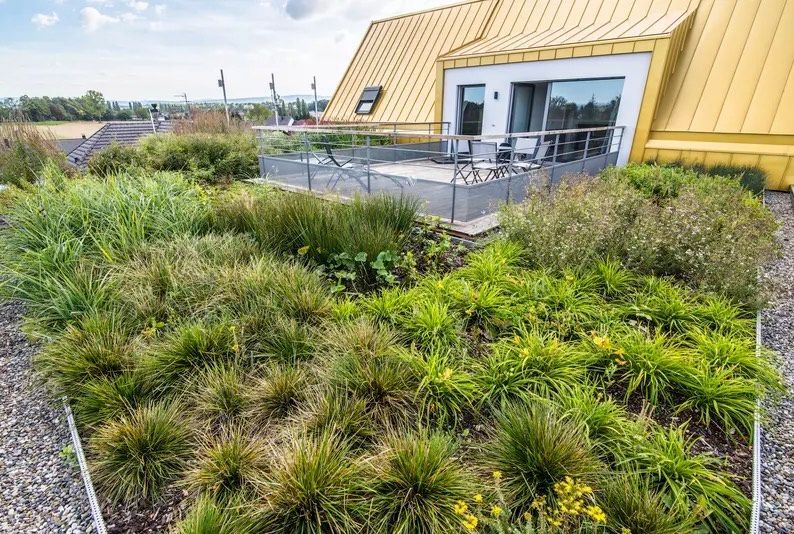 zaļais jumts izolacijas.lv