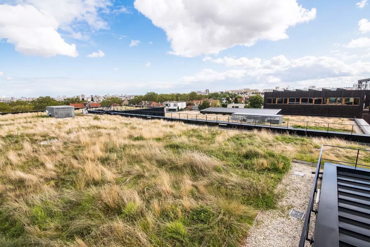 zaļais jumts izolacijas.lv