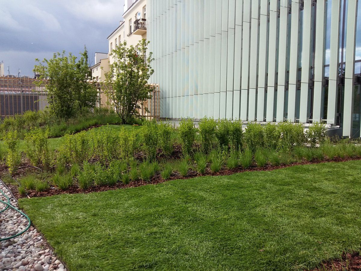 Intensīvie zaļie jumti