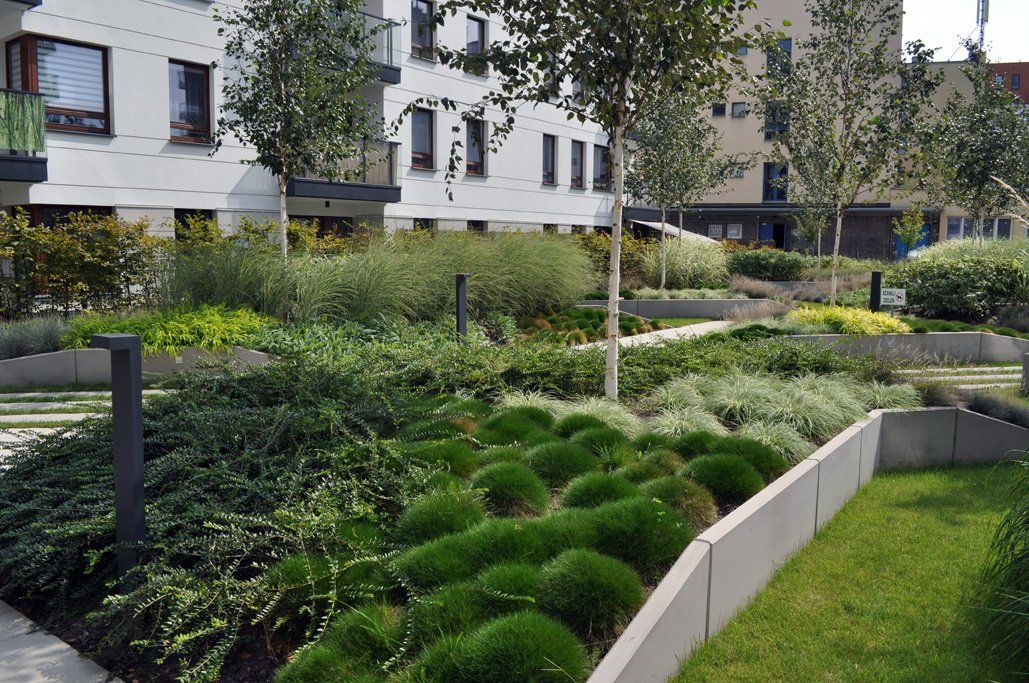 Zaļie jumti Latvijā