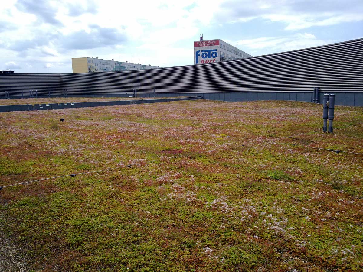 Tundra mata - ekstensīvie zaļie jumta segumi